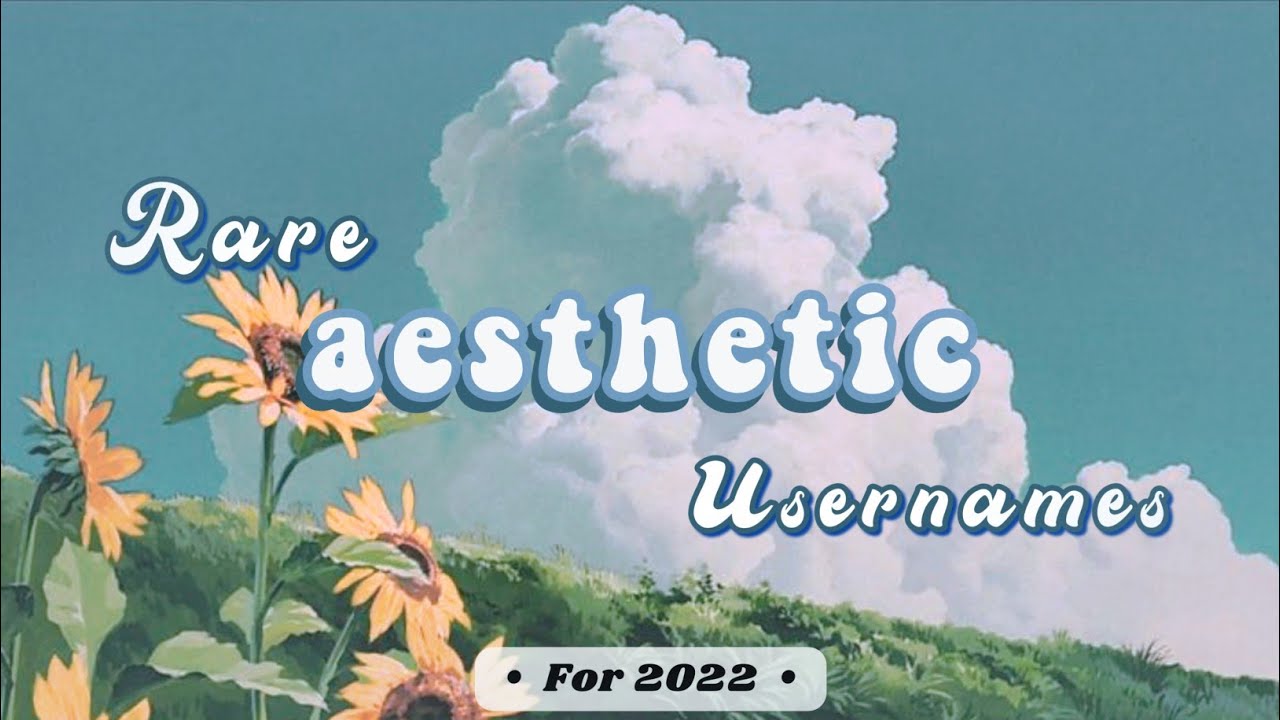 AESTHETIC RARE USERNAMES 2022 (that aren't taken)
