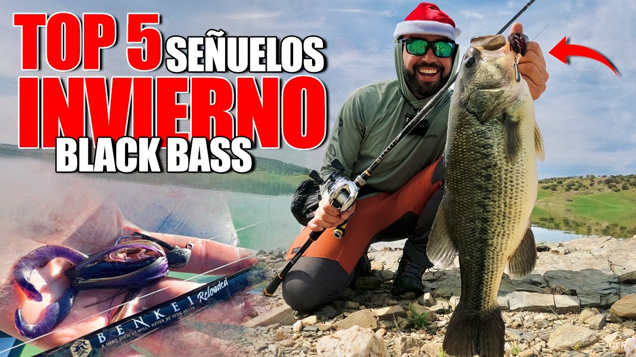 TOP 5 SEÑUELOS para PESCAR BLACK BASS en INVIERNO