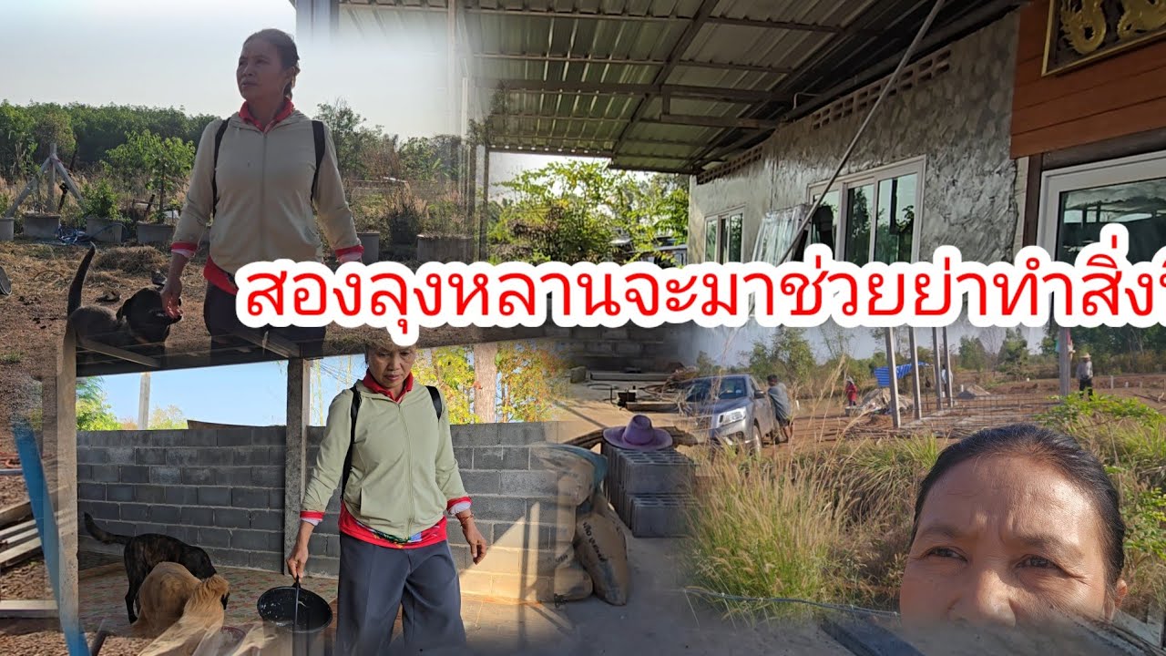 ช่างใหญ่บอกแบบนี้บ้านป้าสนิท​วันนี้ลุงเสือไม่ได้มาเพราะอะไร​