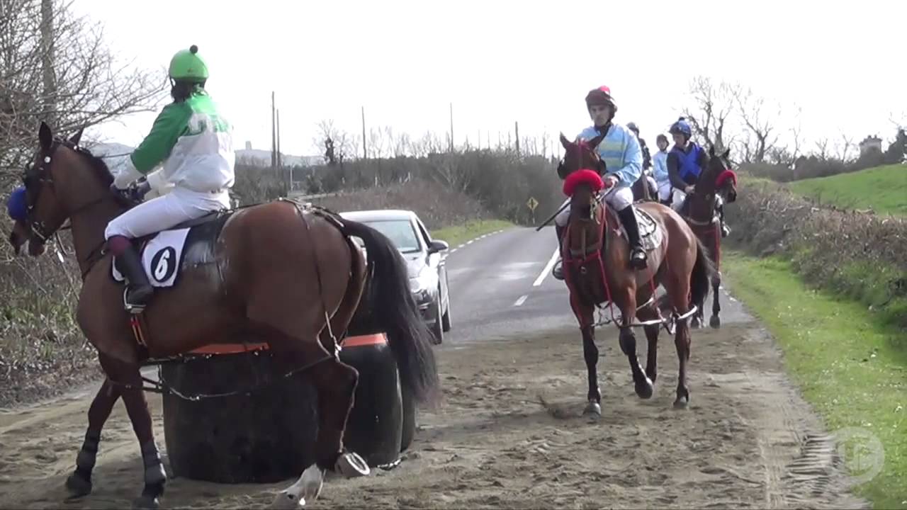 Baltimore Road Trotting Races