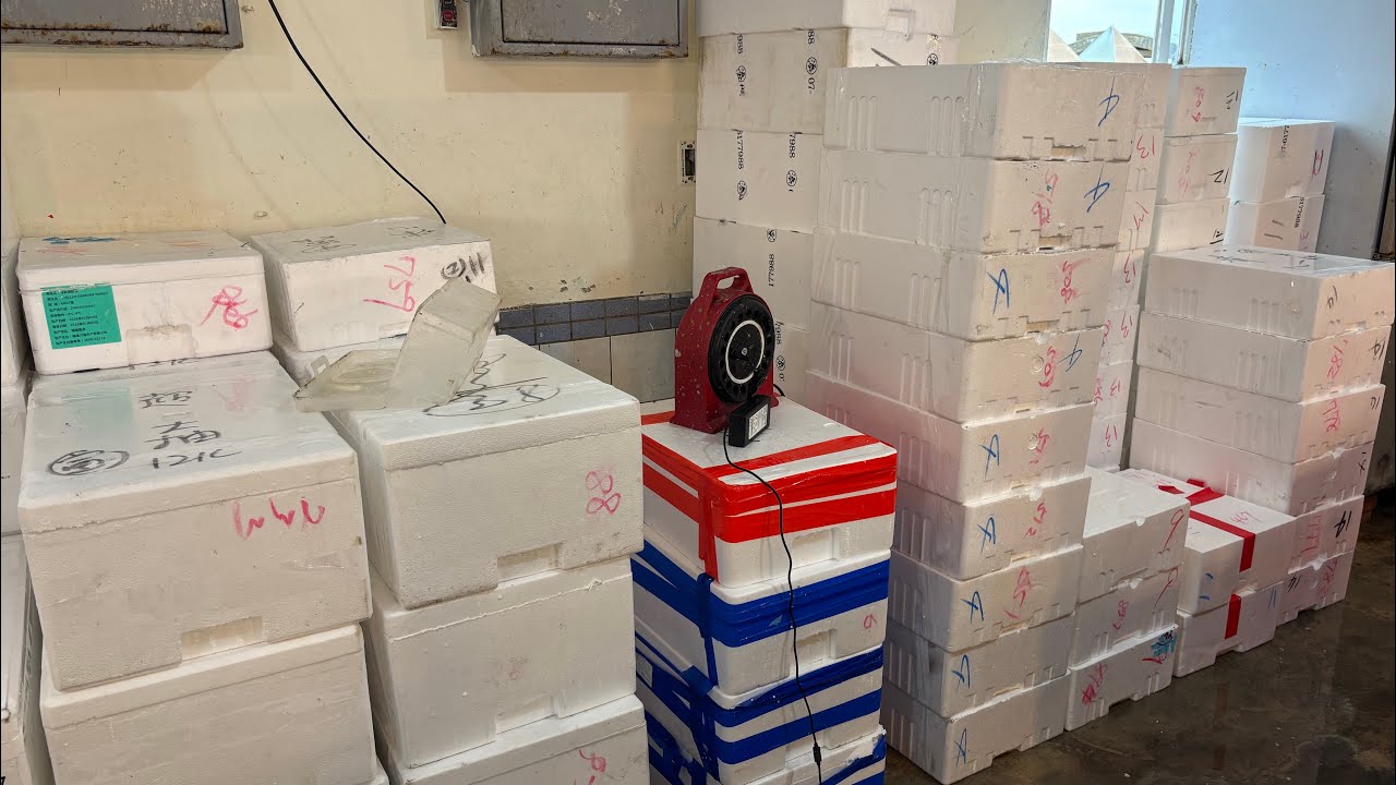 2026/2/7桃園永安蘋果妹。海鮮叫賣直播。準備5噸的魚貨給各位哥哥姊姊們～全部都是魚🐟