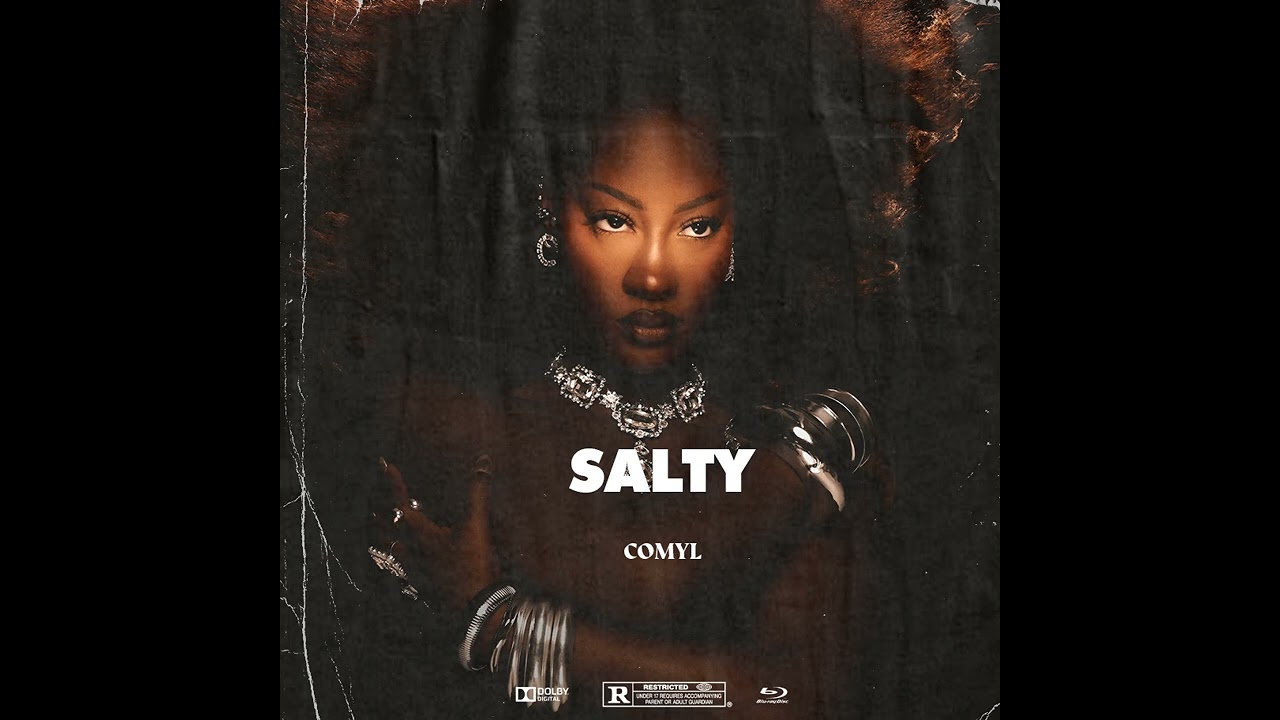 Free Tems x Bien Afrobeat Instrumental Afroswing Type Beat 2024 - ''Salty''