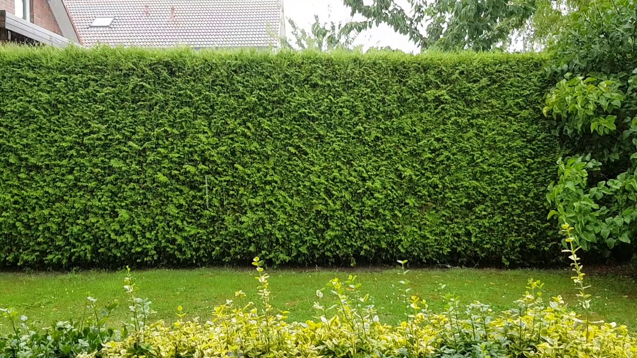 Rain and Thunder in Lower Saxony; Germany