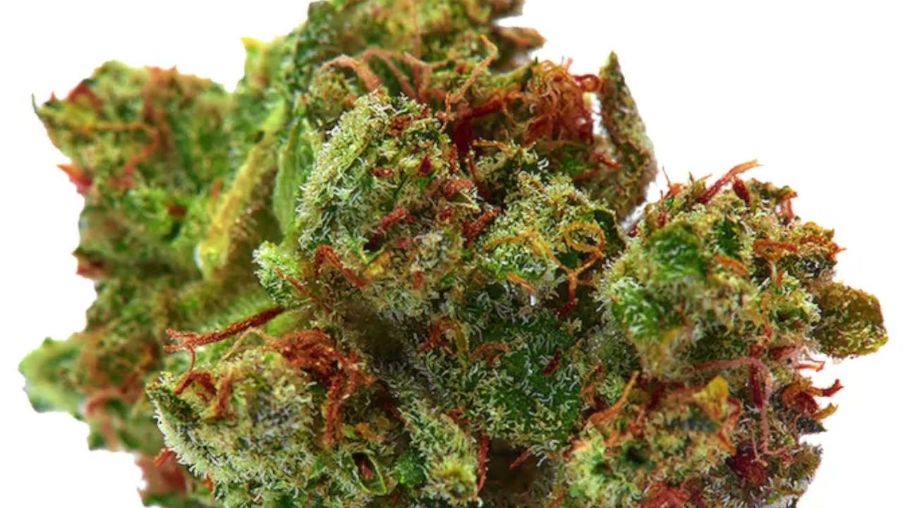 Best Cannabis Strains for Social Gatherings