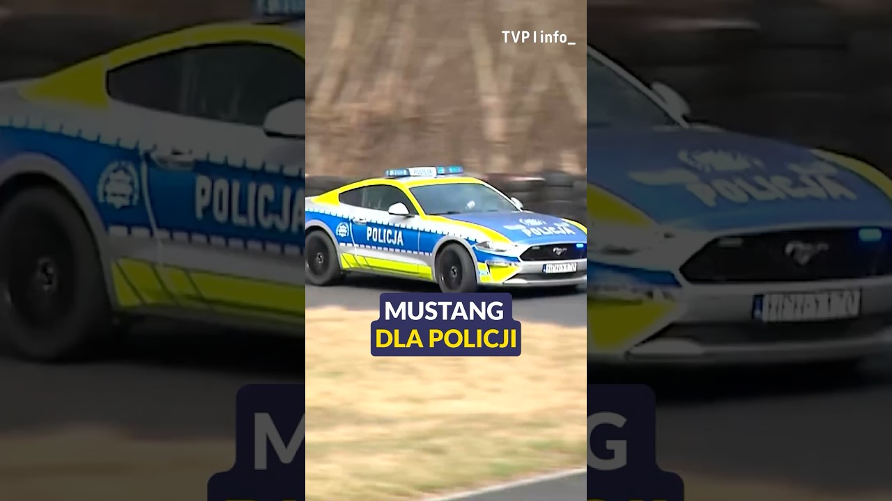 Mustang dla policji | SHORT 19:30 | 17.03.2026