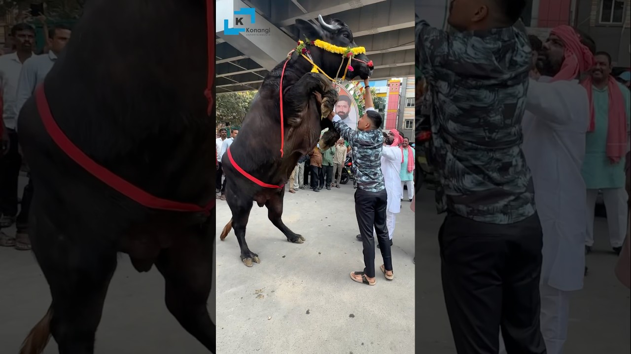 Laddu Yadav Sadar 2025 #ladduyadav sadar | #khairatabadsadar sadar #sadarfestival 2025