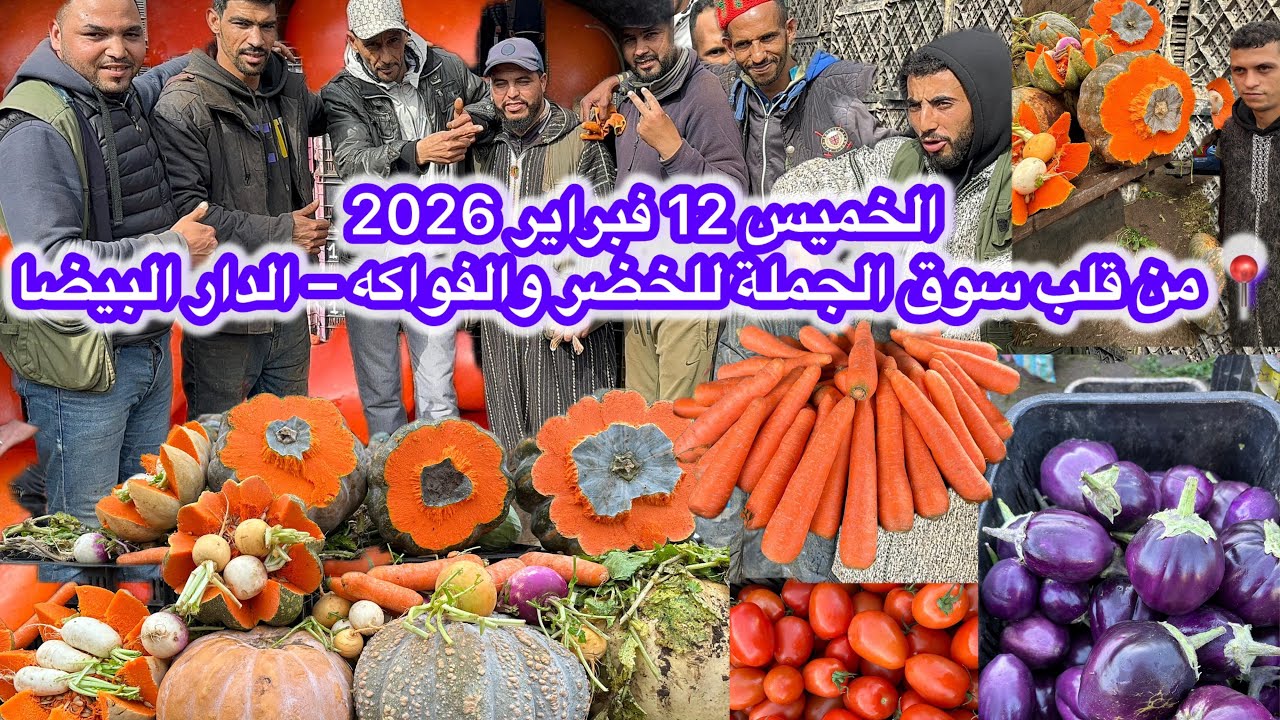 سوق الجملة للخضار والفواكه – الدار البيضاء | 12 فبراير🍅🥭🥬🍍🍆🥦🫑🍒🥒🥕
