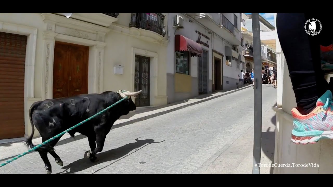 Toro de Cuerda de Carcabuey 2018