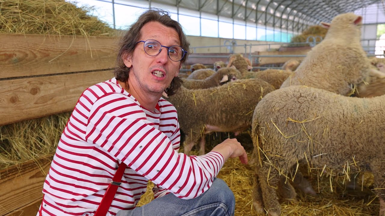 CHEZ ERWAN SUR LE PLATEAU DE SAULT  🐑🍷