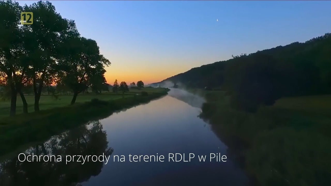 Przyroda pilskich lasów -  odcinek 1 - Ochrona przyrody na terenie RDLP w Pile