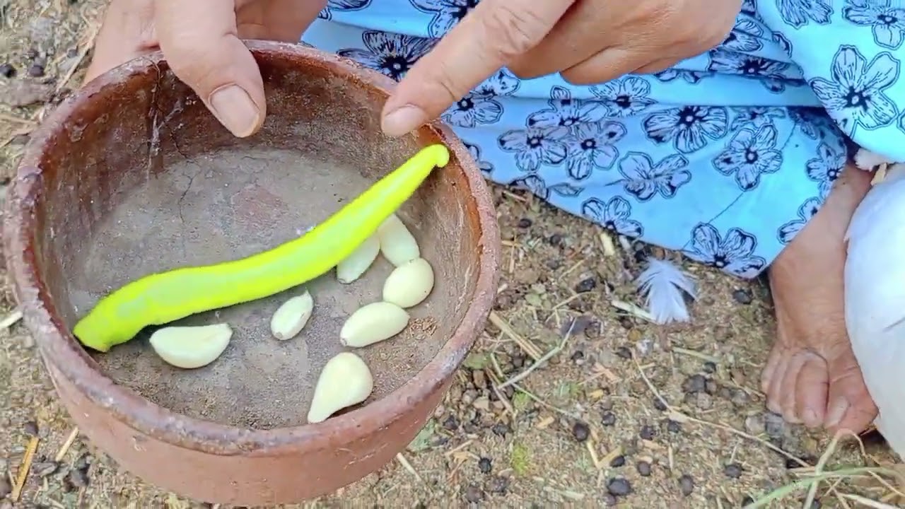#تعالوا أقلكم اهم معلومات عن الوز دلوقتي تقدري تحرشي الوز بتاعك علشان الموسم خلاص علي الابواب🦢