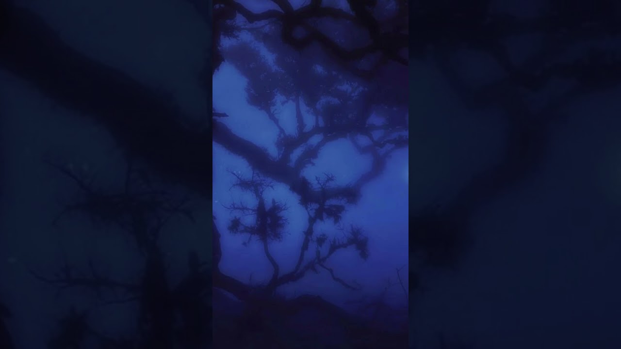 #shorts (FREE) LOOP KIT 