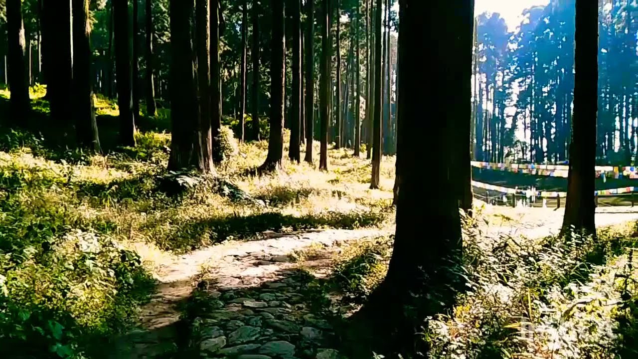 Lamahatta Eco- park Trek to Sacred Lake || 2 km trek ||