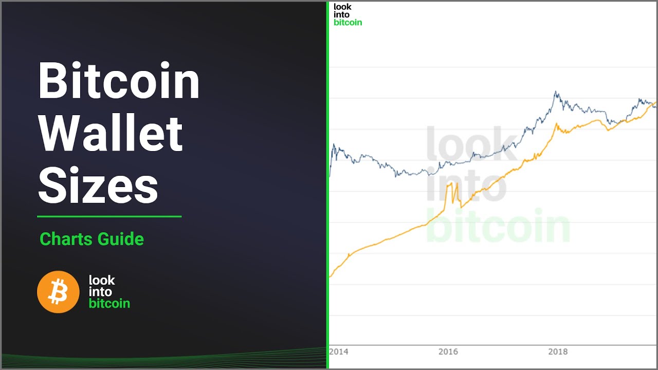 Bitcoin Wallet Sizes