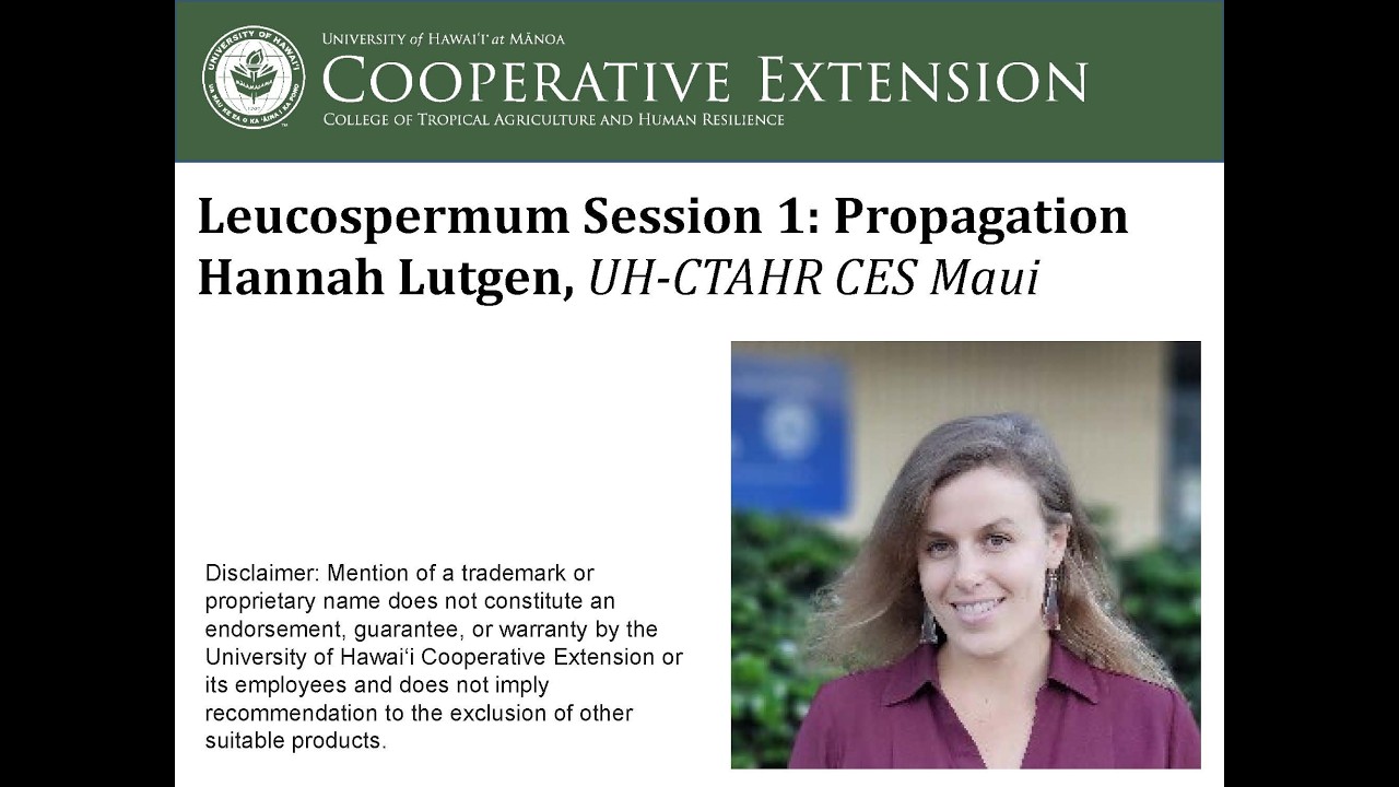 Leucospermum Session 1: Propagation – Hannah Lutgen, UH-CTAHR CES Maui