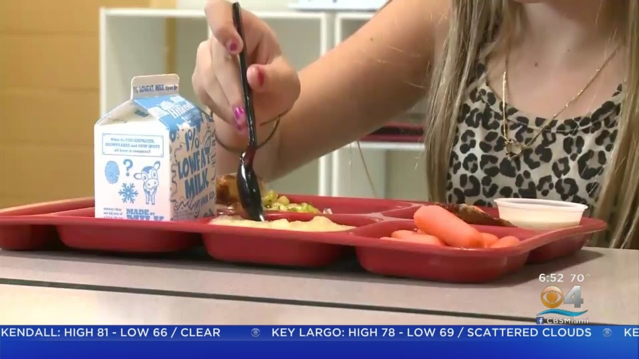 Sweeping Changes Could Soon Be Coming To School Lunches