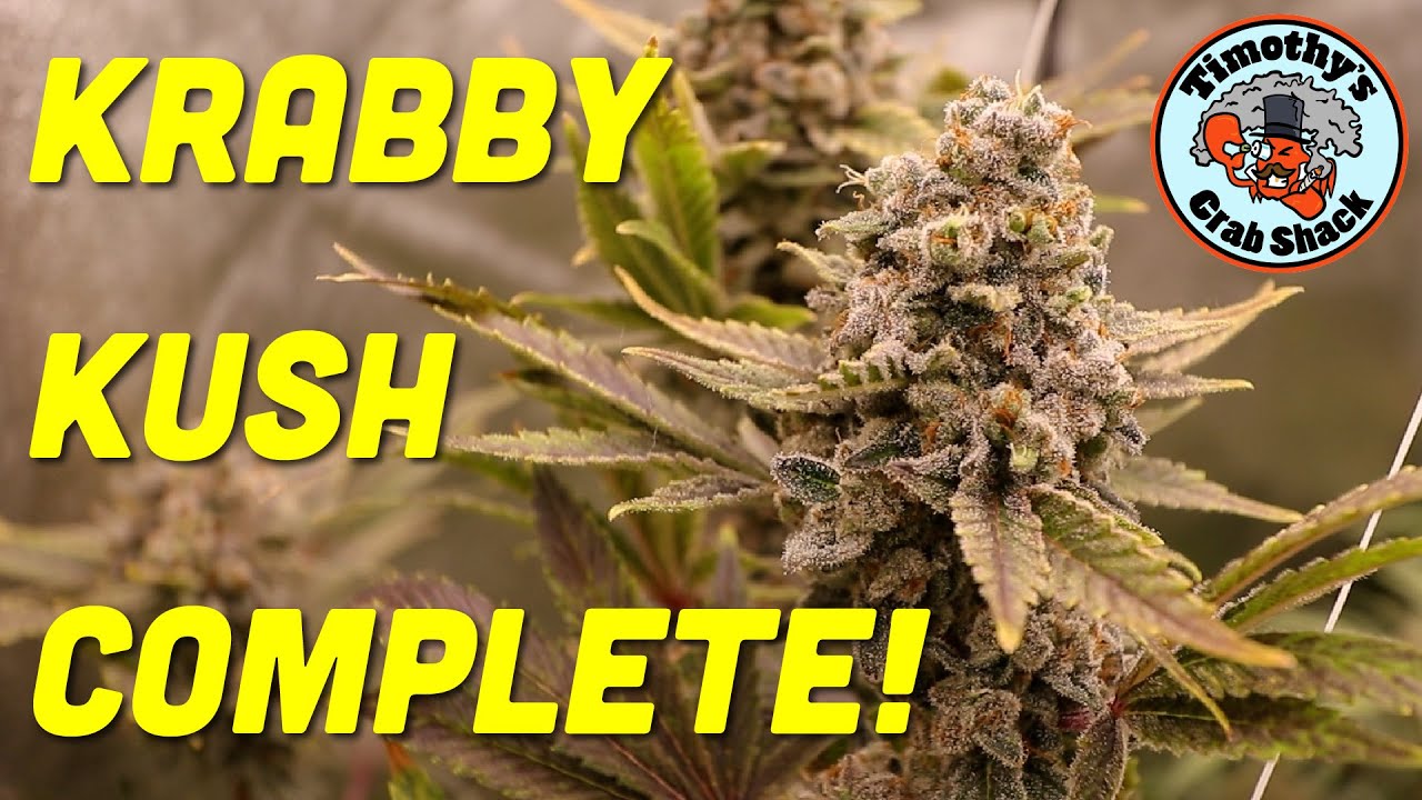 Google grow hack, #oneworldoneplant updates, blusoak blues. #marshydro