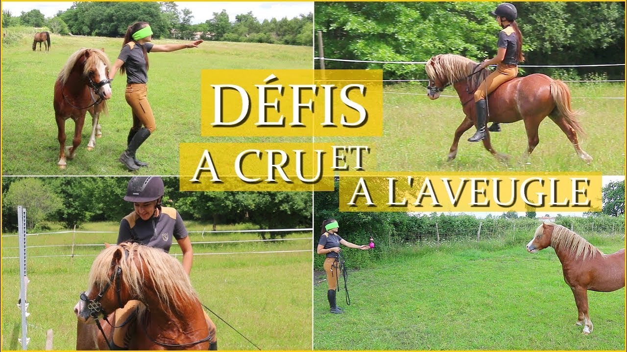 JE MONTE ACE EN CORDELETTE ?! VOS PIRES DÉFIS 2/2 - 90 000