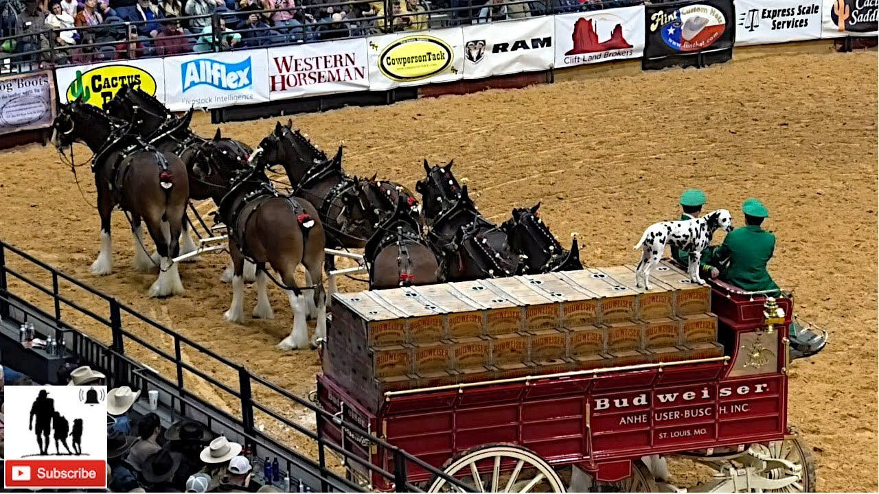 Clydesdale Wagon Team Mishap - 2019 WRCA World Championship Ranch Rodeo (Friday)
