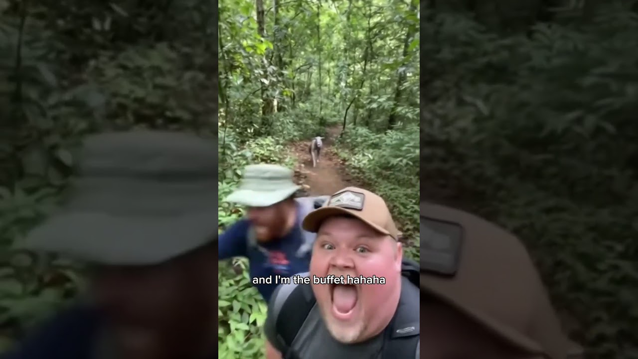 Chiupacabra encounter in Brazil forest 😱 #scary #funny #monster