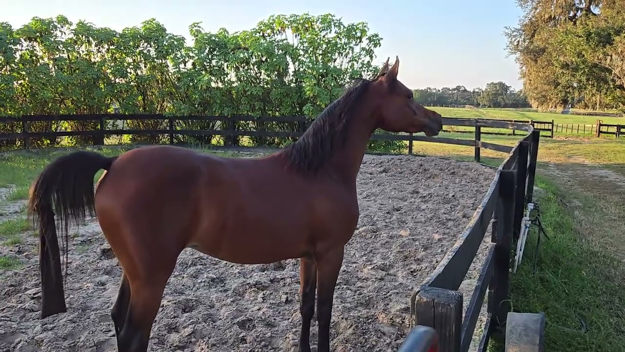 MD Zaahira 09-20-25