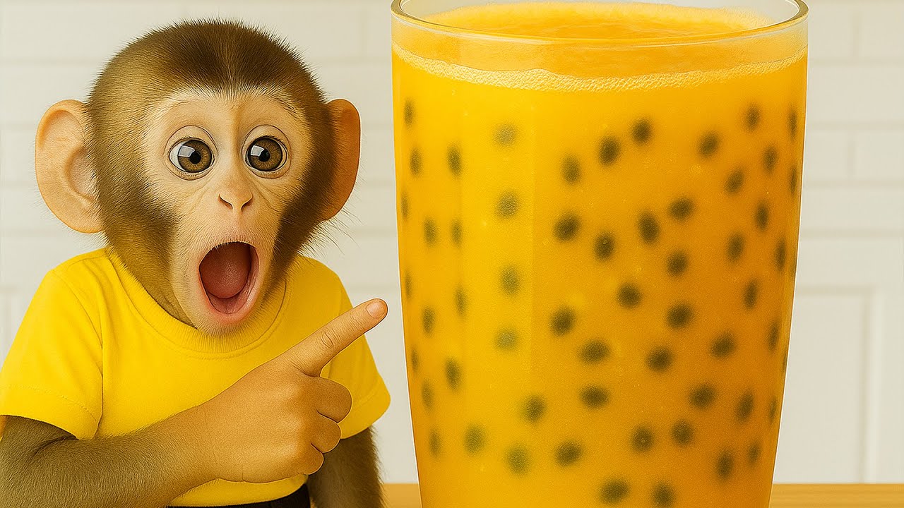 Monkey LiLy Harvests Passion Fruits And Makes A Giant Glass Of Juice🥤🍈 | MONKEY LILY TDC