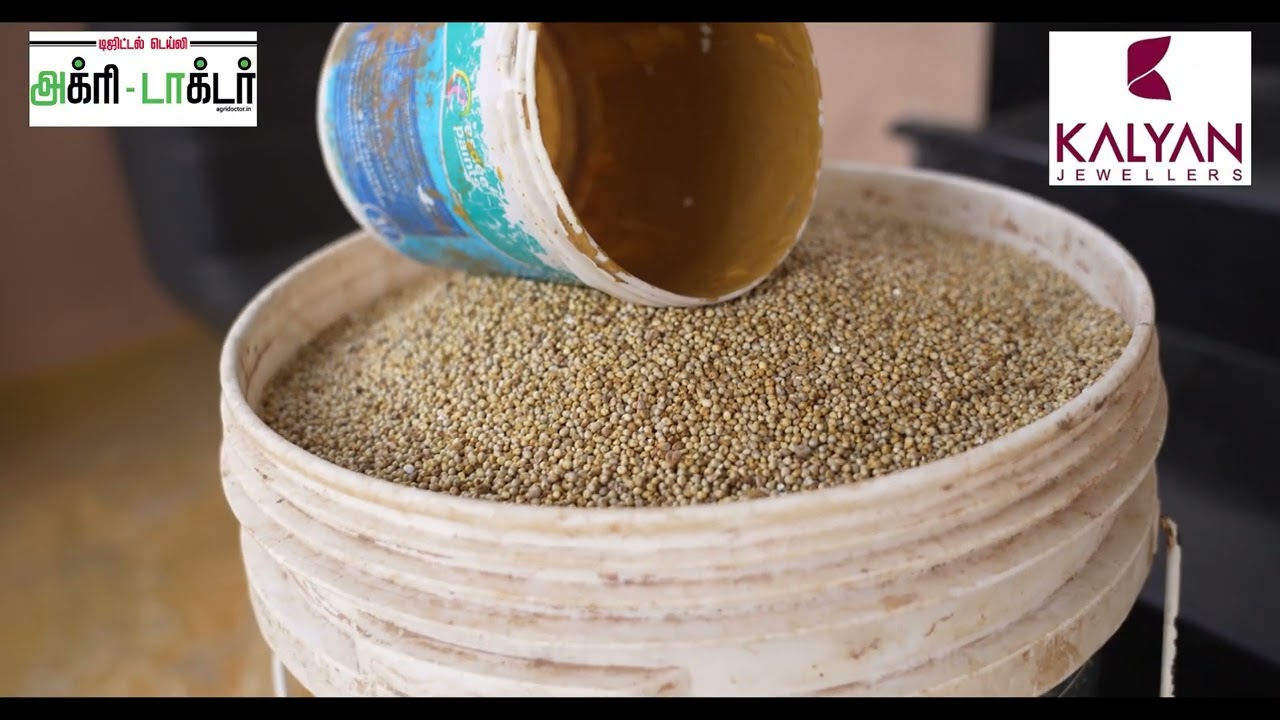 கோழி வளர்ப்புமுறை மற்றும் பராமரிப்பு | Part 02 | Agri Doctor