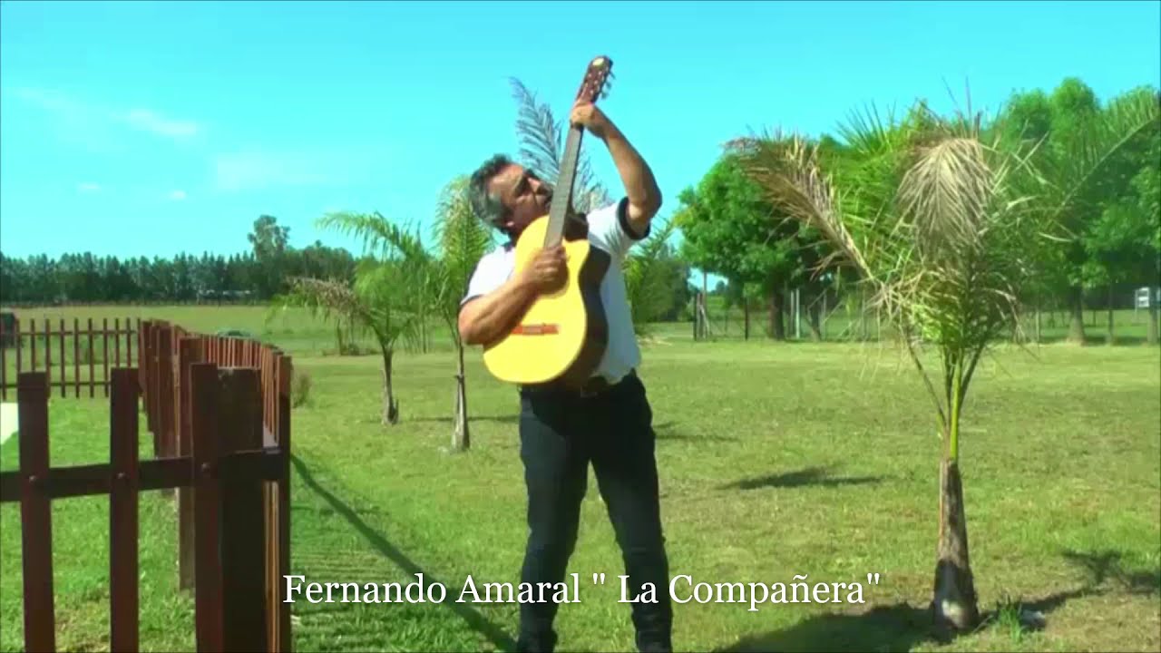 Fernando Amaral 
