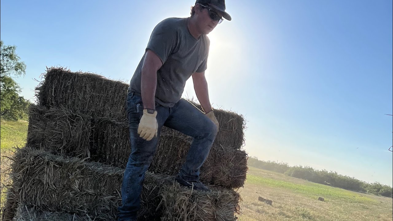 How to Start a Farm — Overnight Hay Farming