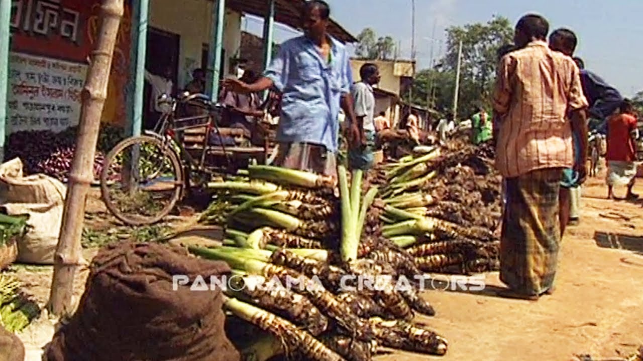 বগুড়ার নয় মাইল হাট | Traditional Village Market