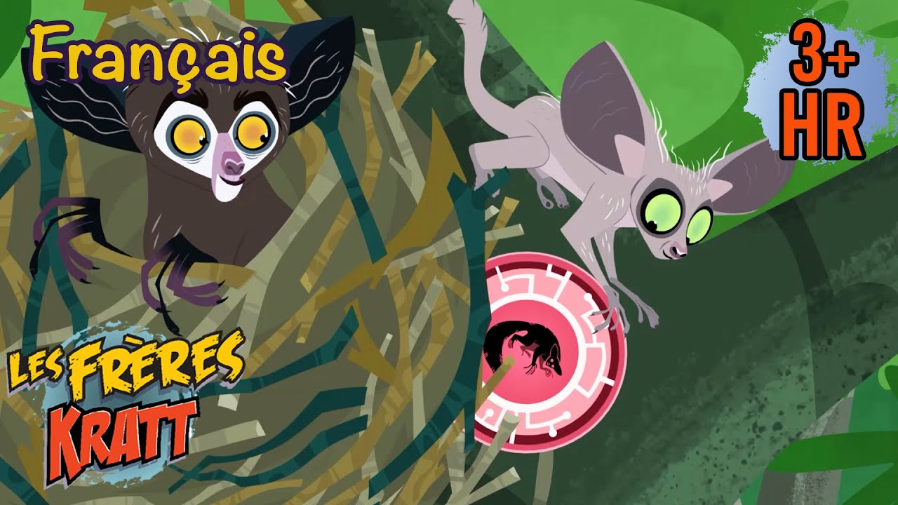 Chasse au trésor sauvage [épisodes complets] Les Frères Kratt