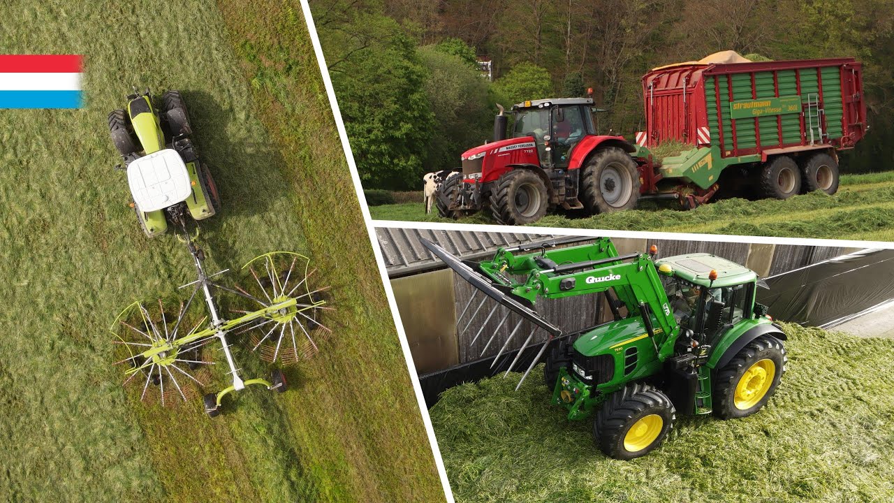 1. Schnitt 2024 - Es geht los! | Claas // Massey Ferguson // Strautmann // John Deere | Luxemburg
