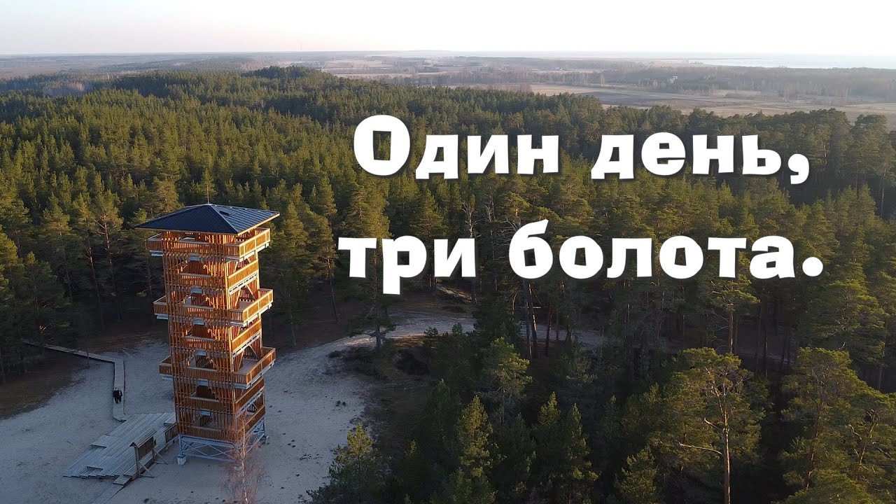 Заповедники Эстонии. Поиски бобра. Три болота за один день.