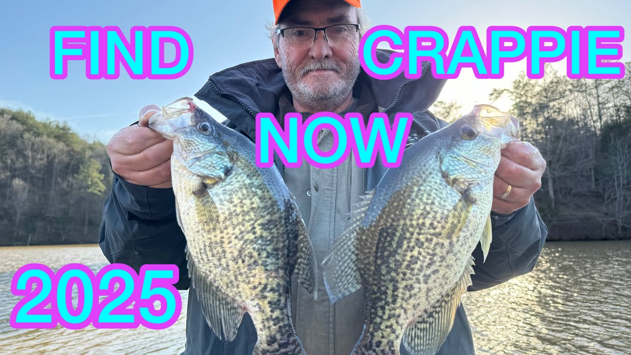 Ловля краппи 2025 (￼Ловля краппи в ранний преднерестовый период от уступов реки до ручьев.)