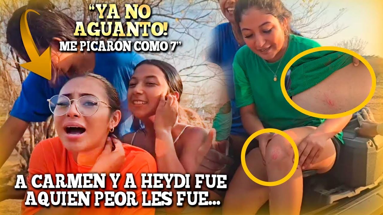 ASÍ TERMINARON LAS BICHAS DESPUÉS DE HUIR DE LAS ABEJAS. Carmen fue la mas  golpeada.