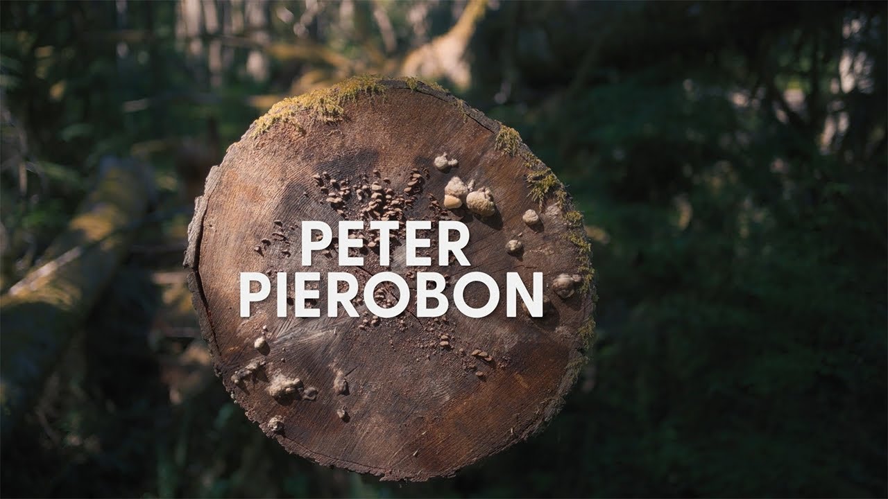 Portrait de Peter Pierobon, gagnant d’un #GGArts2025