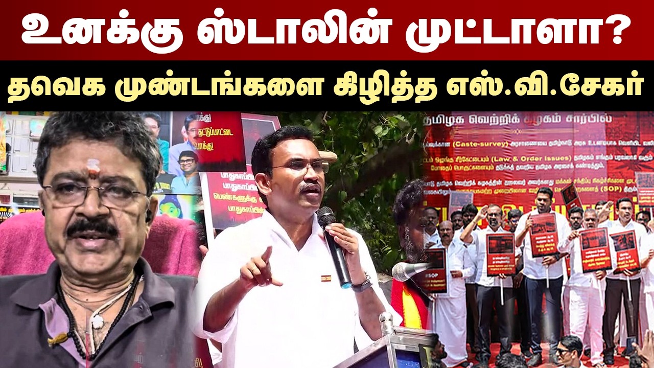 உனக்கு ஸ்டாலின் முட்டாளா? தவெக முண்டங்களை கிழித்த எஸ்.வி.சேகர் | S Ve Shekher Interview | TVK Vijay