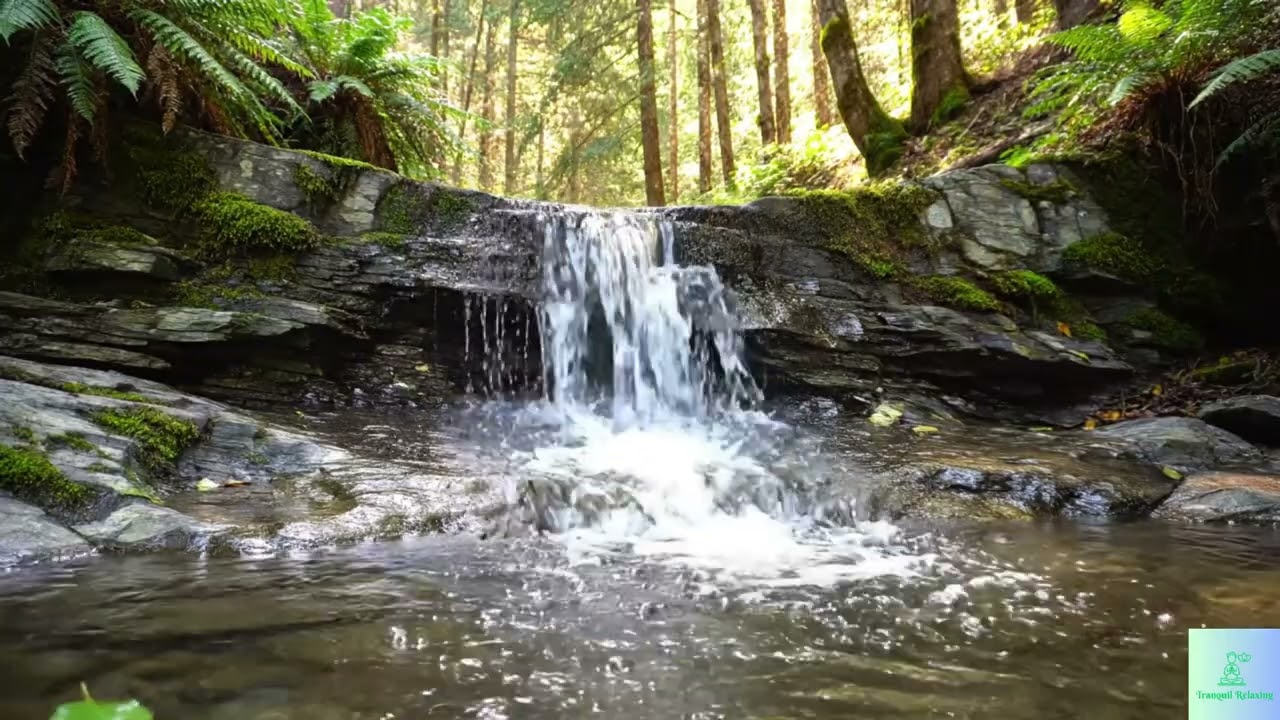 Waterfall on the Rock in the Forest | Peaceful Nature Sounds & Relaxation