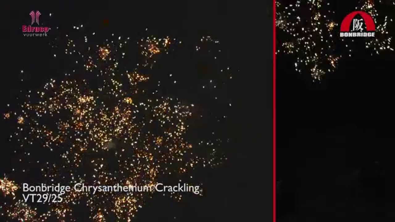 Bonbridge Chrysanthemum Crackling - Cakebox - vuurwerk
