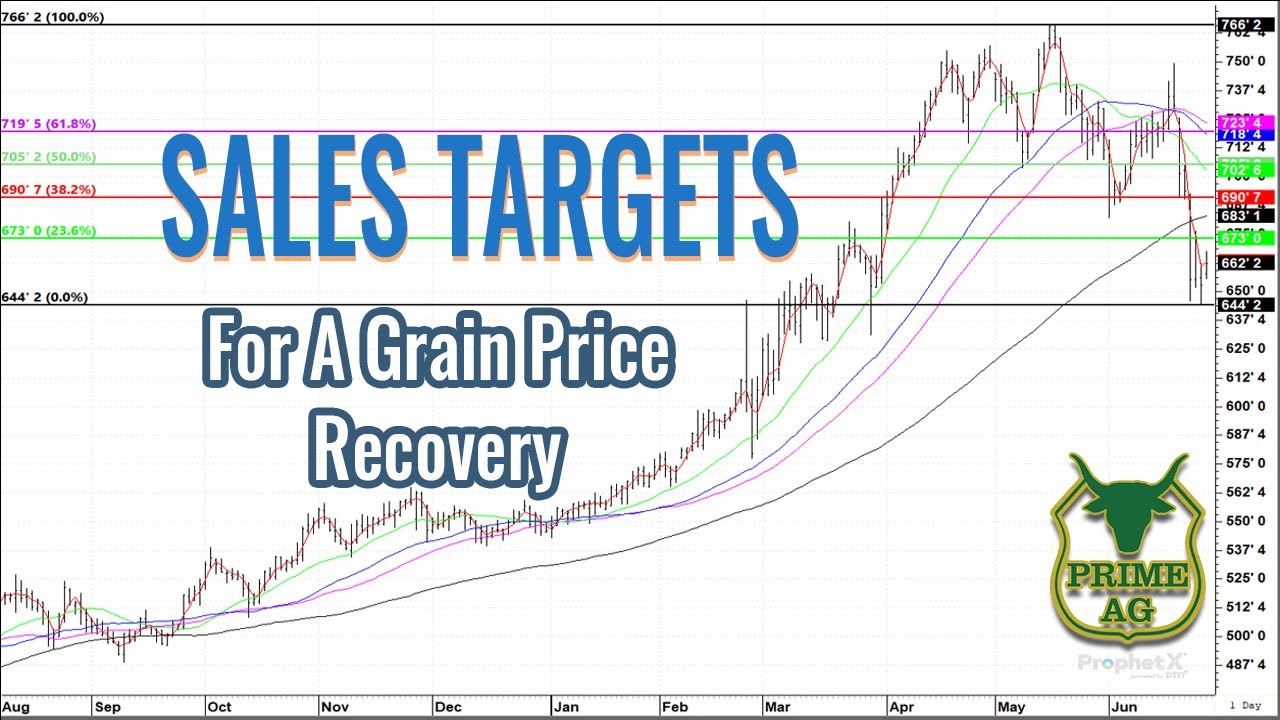 Grain Market Price Targets | Potential Areas for Price Recovery
