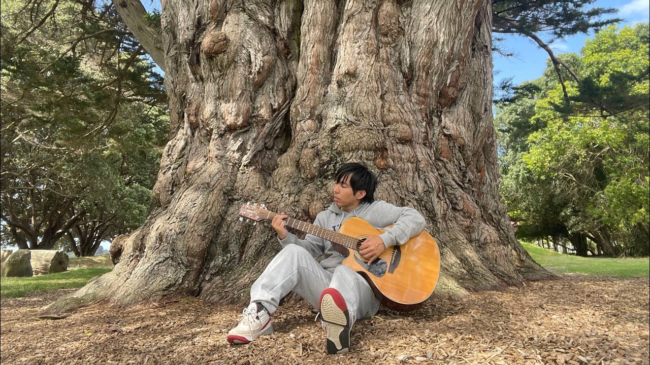 How great is our God (Guitar Cover)