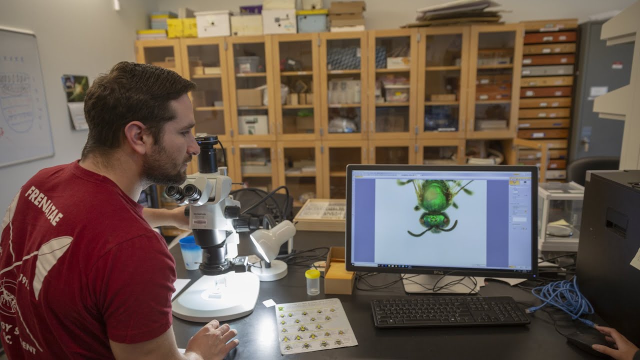 Meet an Entomology Graduate Student