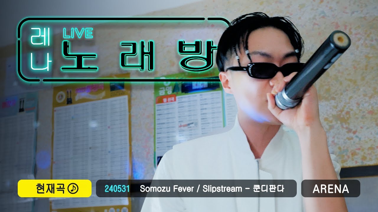힙합, 댄스, 락, 발라드도 좋지만 슬플 땐 쿤디판다 | 레나 노래방🎤