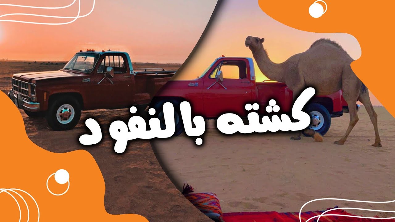 الجمس الأحمر في النفود 🔥