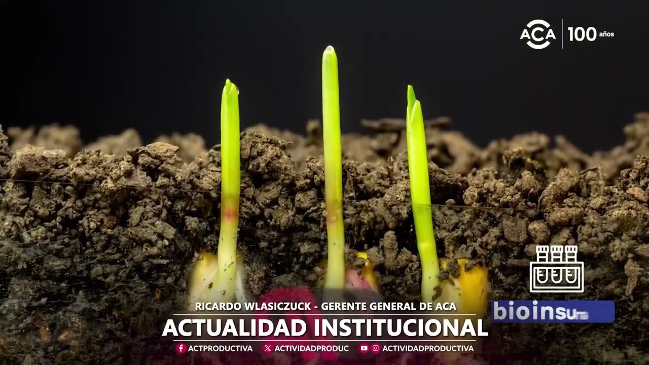 Ricardo Wlasiczuck - Actualidad Institucional de ACA