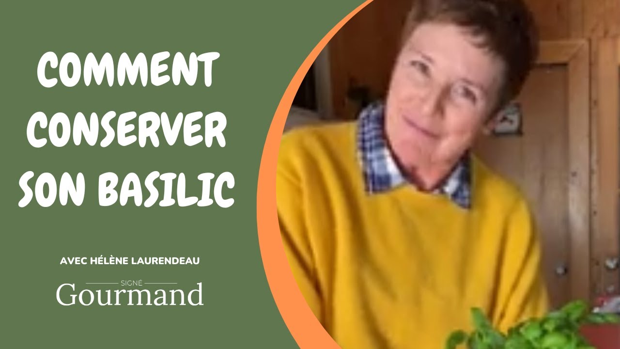 COMMENT CONSERVER SON BASILIC