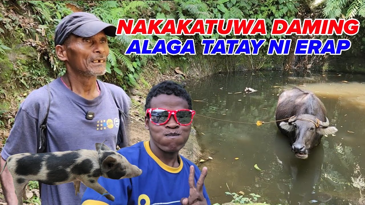 WOW MAY ALAGANG KALABAW DIN SILA TATAY NARDO AT ERAP