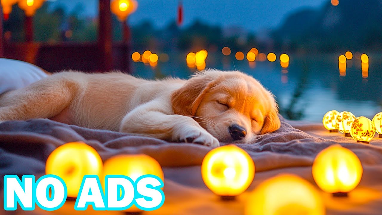 12 часов расслабляющей музыки для собак 🐶 Глубокие, успокаивающие звуки для собак 🌿 Мягкая фоновая