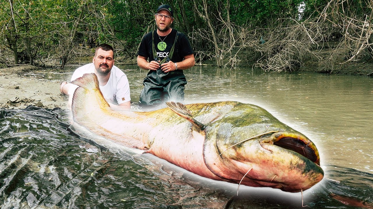 Das Wasser richtig LESEN und MONSTER finden
