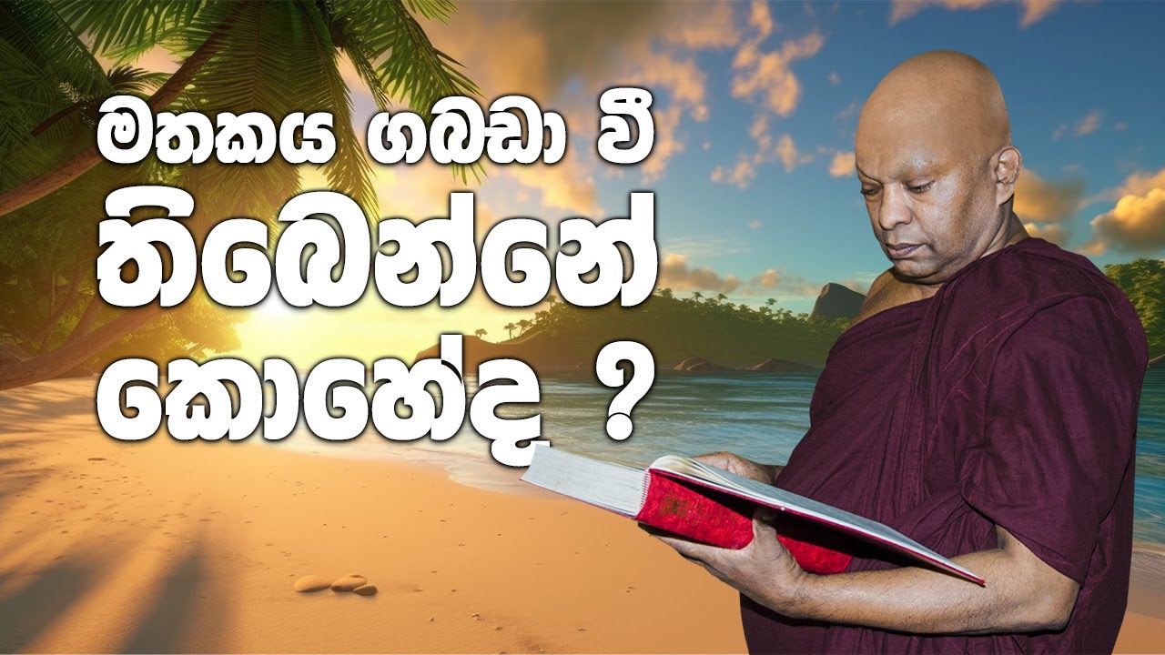 මතකය ගබඩා වී තිබෙන්නේ කොහේද ?